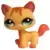LPS 1137