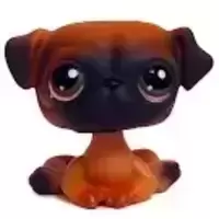LPS 1221