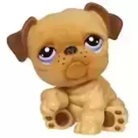 LPS 1342