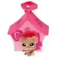 LPS 1353