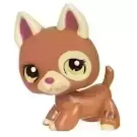 LPS 1362