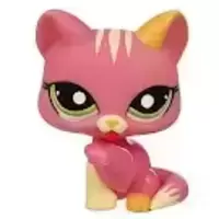 LPS 1562