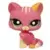 LPS 1562
