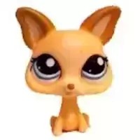 LPS 1656