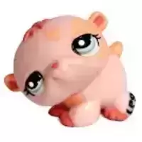 LPS 1658