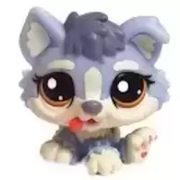 LPS 1683
