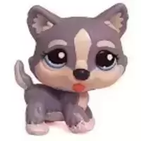 LPS 1684