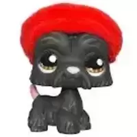 LPS 1034