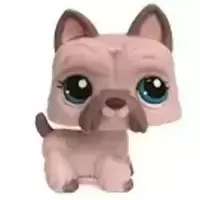 LPS 1201