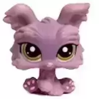 LPS 1611