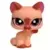 LPS 1626
