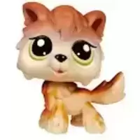 LPS 2141