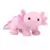 Axolotl