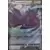 Cartes Promo Black Star Épée et Bouclier - Corvaillus V