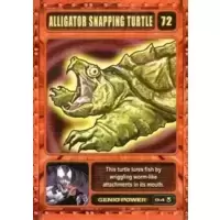 Alligator Snapping Turtle
