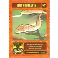 Bothriolepis
