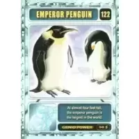Emperor Penguin