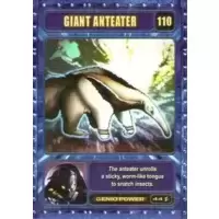Giant Anteater