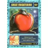 Great Frigatebird