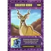 Greater Kudu