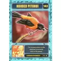 Hooded Pitohui