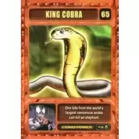 King Cobra