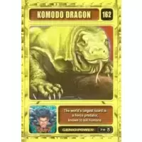 Komodo Dragon