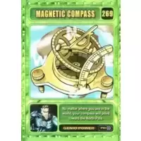 Magnetic Compass