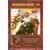 Motorcycle Racing
