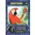 Marvel - Genio Cards Volume 1 - Scarlet Macaw