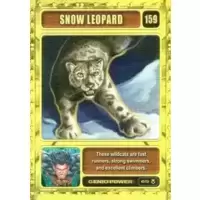 Snow Leopard