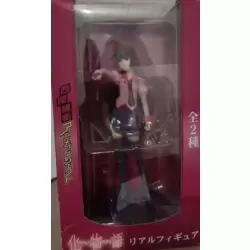 Bakemonogatari - Hitagi Senjyogahara