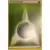 XY Trainer Kit (Latias) - Énergie Plante