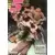 Les 5 As - Collection Reliée N°47 (du n°219 au n°222)