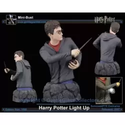 Harry Potter 2 Light-Up