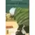 Le roman de Kakashi - Le Sixième Hokage et l'enfant roi