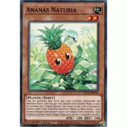 Ananas Naturia