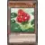 Arsenal Mystérieux : Chapitre 1 HAC1 - Fraise Naturia