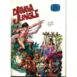 Djinga Jungle - La piste du sel