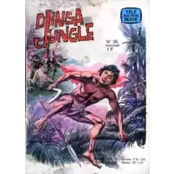 Djinga Jungle -  Les dieux de feu