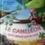 Collection Livres McDonald\'s - Le caméléon qui n’aimait que le rose