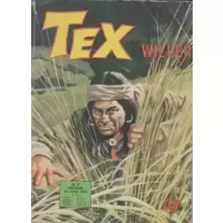 Lucero