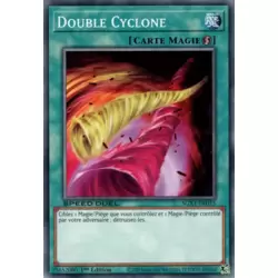 Double Cyclone