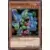 Speed Duel GX SGX1 - Kangourou Des