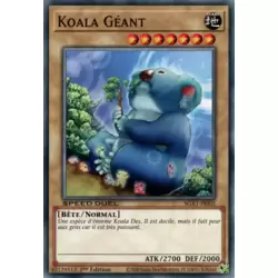 Koala Géant