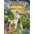 Pokémon - Mission Arceus