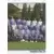 Foot 2004 - Equipe (puzzle 2) - Grenoble Foot 38