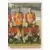 Equipe (puzzle 2) - Stade lavallois Mayenne Football Club