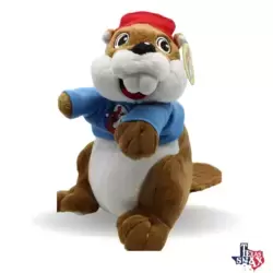 Buc-ee [Texas]
