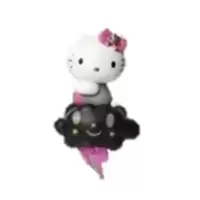 Black Cloud Kitty Chase